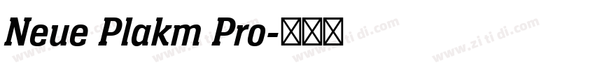 Neue Plakm Pro字体转换